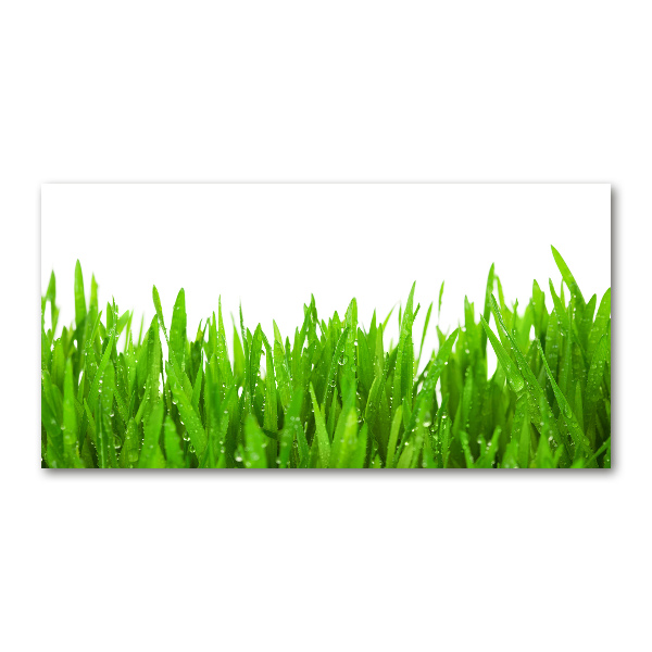 Schilderij op acrylglas Gras