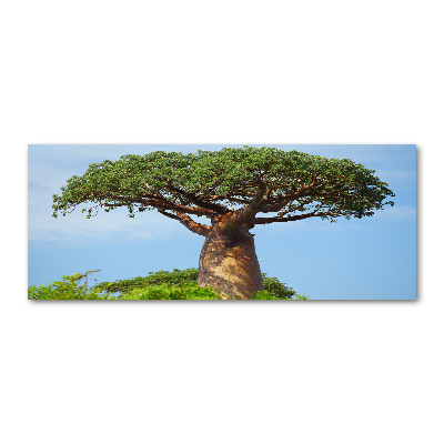 Plexiglas schilderij Baobab