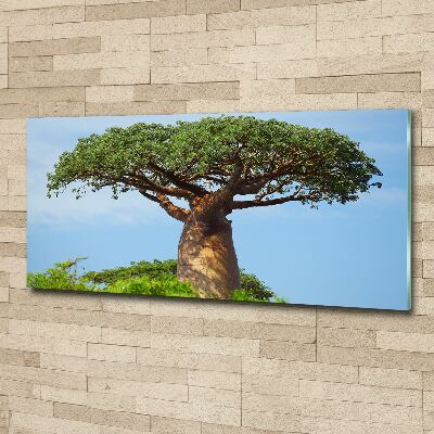 Plexiglas schilderij Baobab