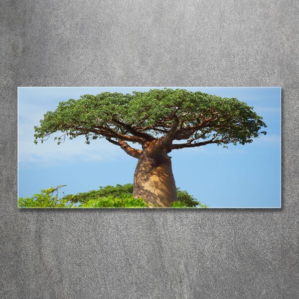 Plexiglas schilderij Baobab