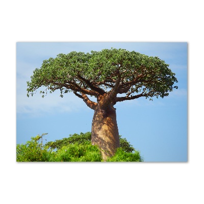 Plexiglas schilderij Baobab