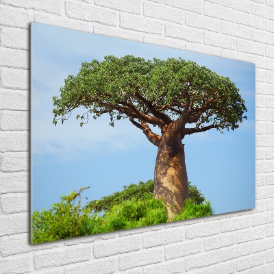 Plexiglas schilderij Baobab