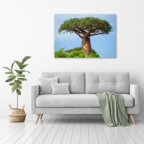 Plexiglas schilderij Baobab