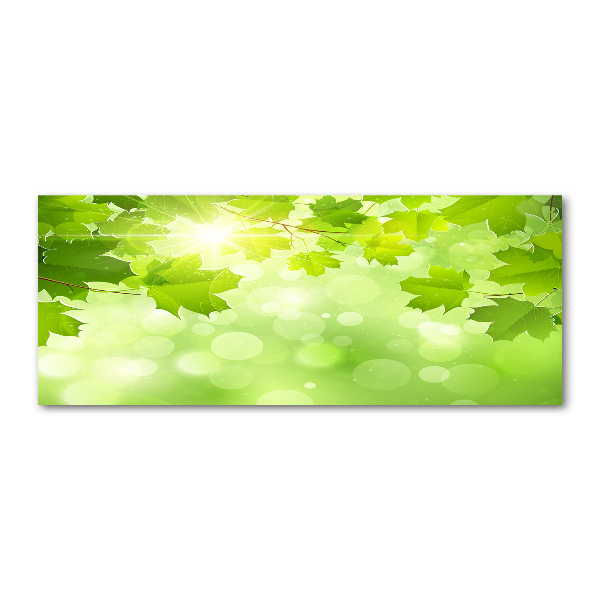 Foto op plexiglas Paardenkastanjebladeren