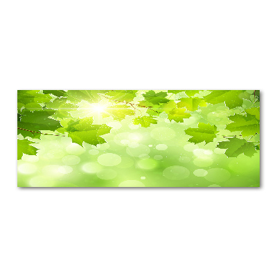 Foto op plexiglas Paardenkastanjebladeren