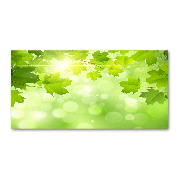 Foto op plexiglas Paardenkastanjebladeren