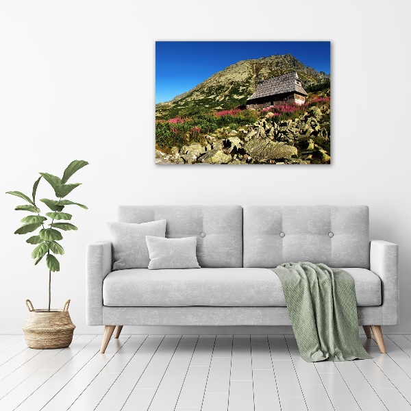 Plexiglas schilderij Herdershut in het dal