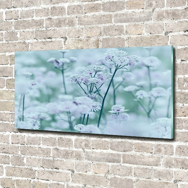 Foto plexiglas Grote mantelkruid