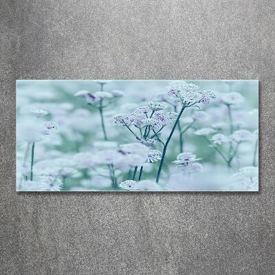 Foto plexiglas Grote mantelkruid