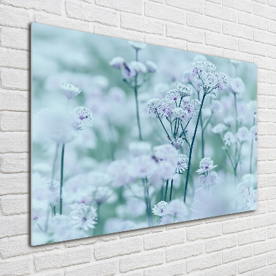 Foto plexiglas Grote mantelkruid