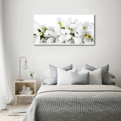 Schilderij op acrylglas Sneeuwklokjes