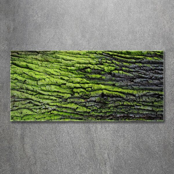 Foto plexiglas Boomschors