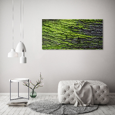 Foto plexiglas Boomschors