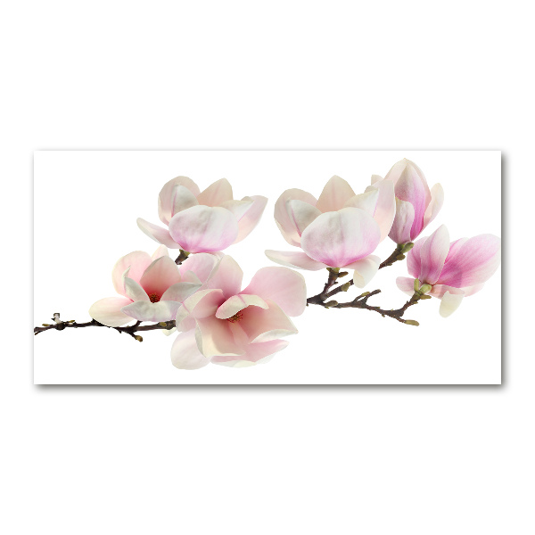 Foto in plexiglas Magnolia