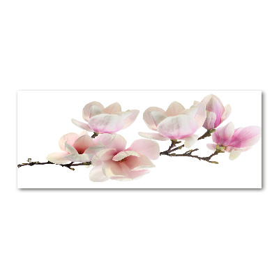 Foto in plexiglas Magnolia