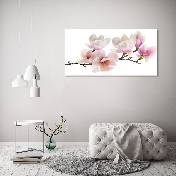 Foto in plexiglas Magnolia