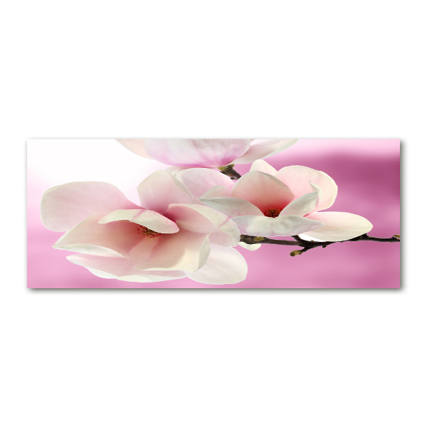 Plexiglas schilderij Magnolia