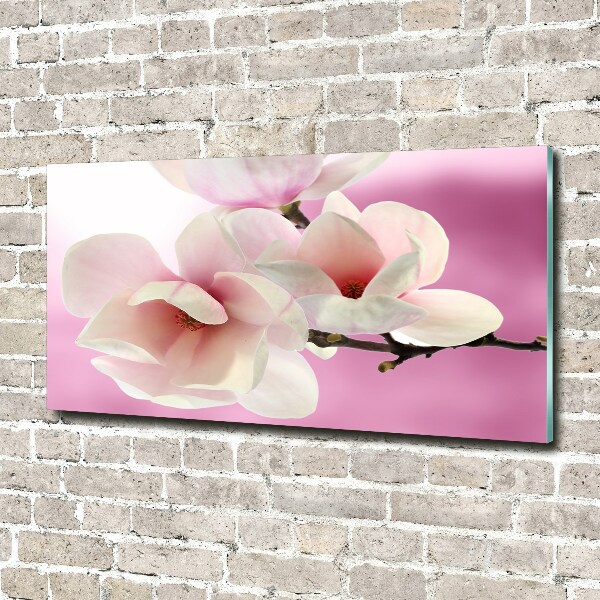 Plexiglas schilderij Magnolia