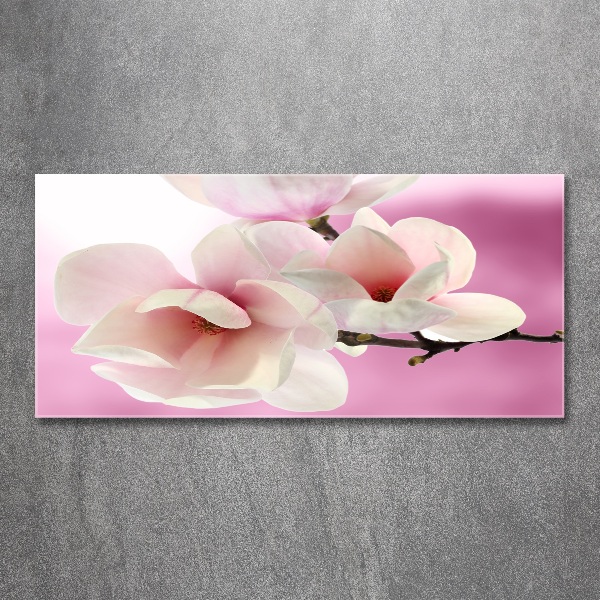 Plexiglas schilderij Magnolia