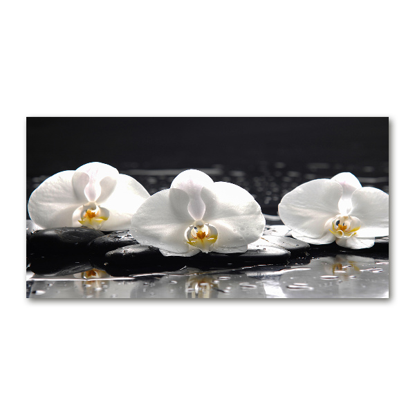 Foto plexiglas Orchidee