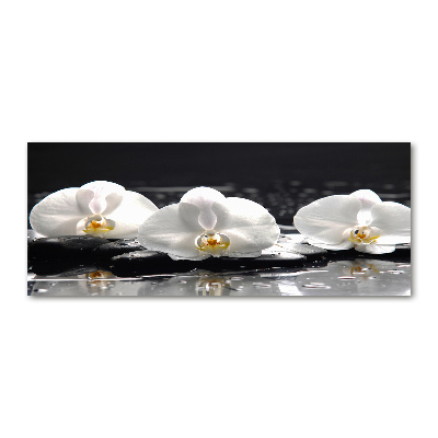 Foto plexiglas Orchidee