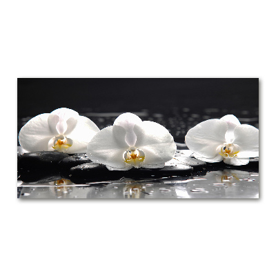 Foto plexiglas Orchidee