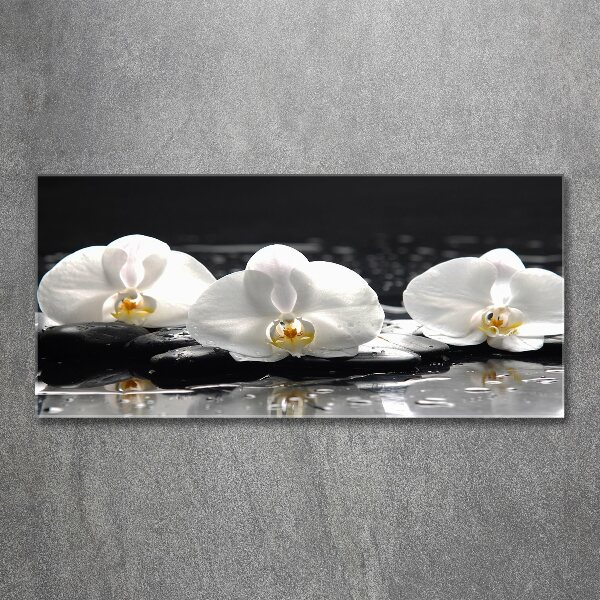 Foto plexiglas Orchidee