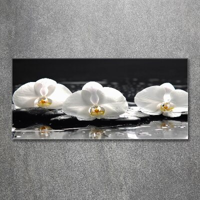 Foto plexiglas Orchidee
