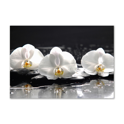 Foto plexiglas Orchidee