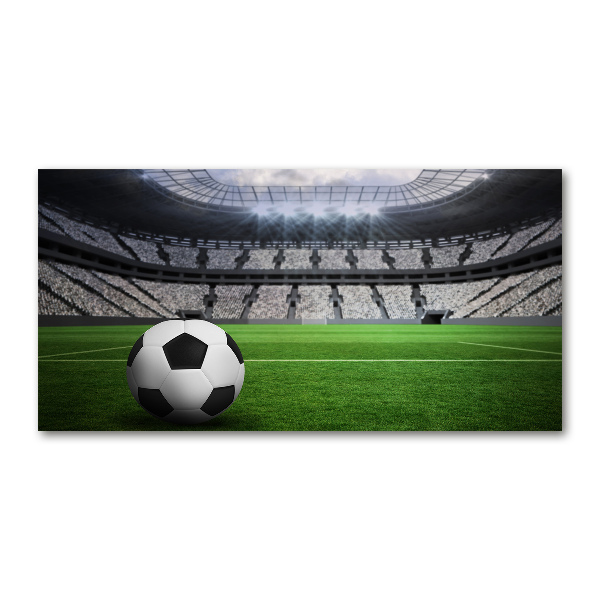 Schilderij op acrylglas Bal in het stadion