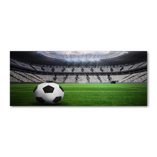 Schilderij op acrylglas Bal in het stadion