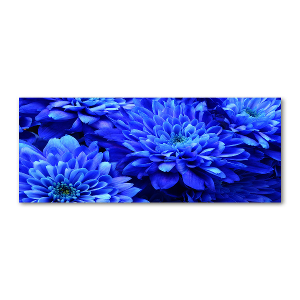 Foto in plexiglas Blauwe aster