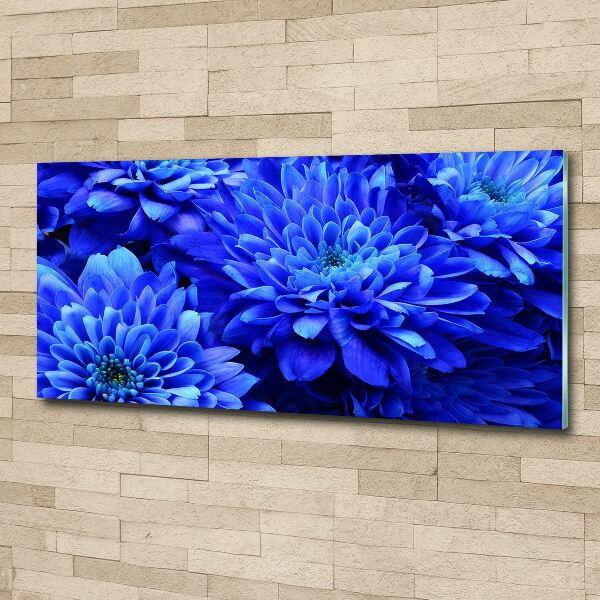 Foto in plexiglas Blauwe aster