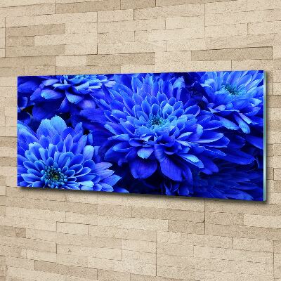 Foto in plexiglas Blauwe aster
