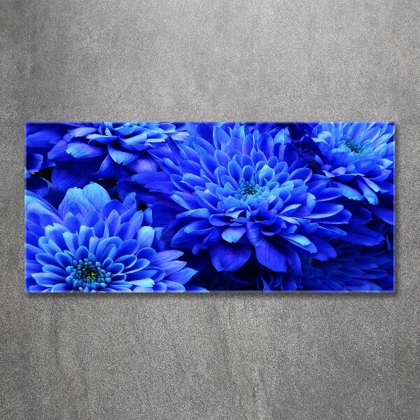 Foto in plexiglas Blauwe aster
