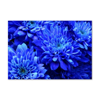 Foto in plexiglas Blauwe aster