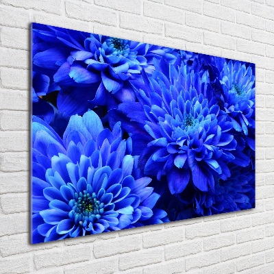 Foto in plexiglas Blauwe aster