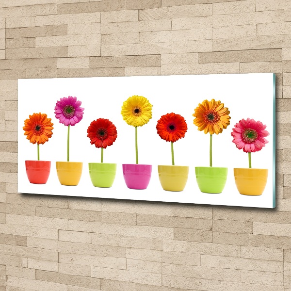 Schilderij op acrylglas Kleurrijke gerbera's