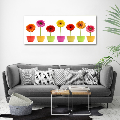 Schilderij op acrylglas Kleurrijke gerbera's