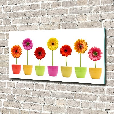 Schilderij op acrylglas Kleurrijke gerbera's