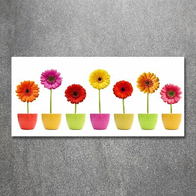 Schilderij op acrylglas Kleurrijke gerbera's
