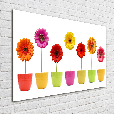 Schilderij op acrylglas Kleurrijke gerbera's
