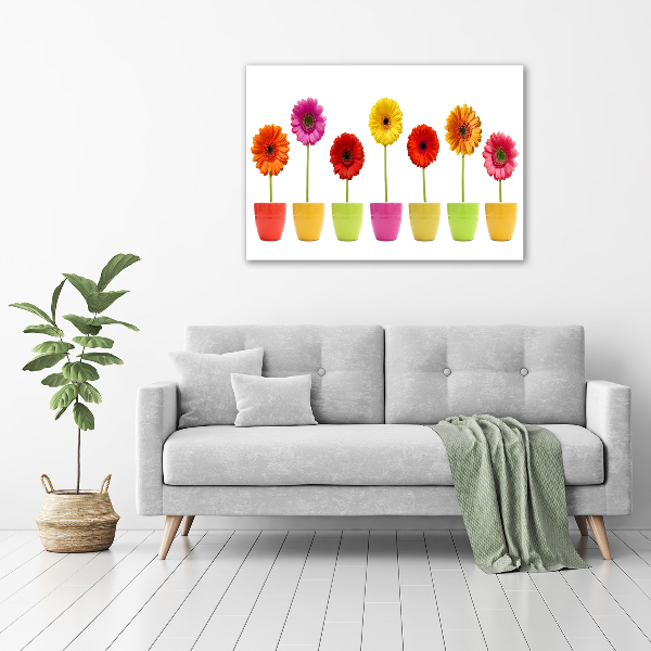 Schilderij op acrylglas Kleurrijke gerbera's