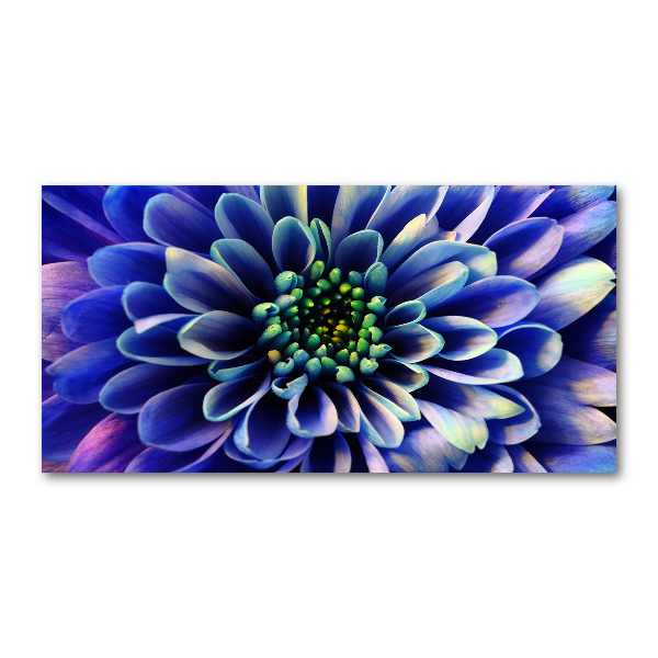Plexiglas schilderij Aster