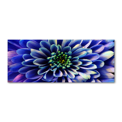 Plexiglas schilderij Aster