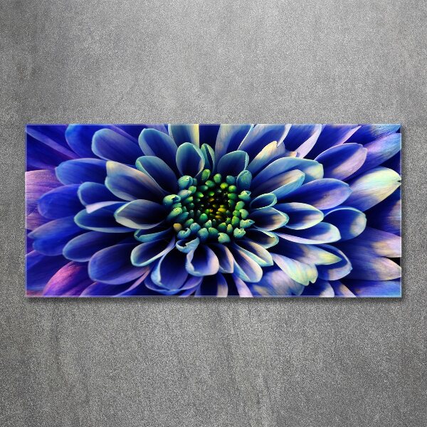 Plexiglas schilderij Aster