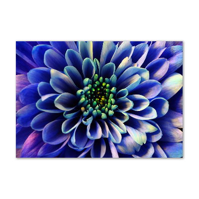 Plexiglas schilderij Aster