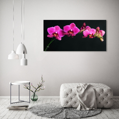 Foto op plexiglas Orchidee
