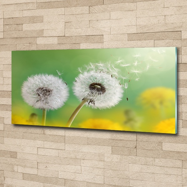 Foto plexiglas Paardenbloemen