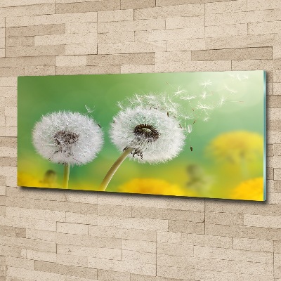 Foto plexiglas Paardenbloemen